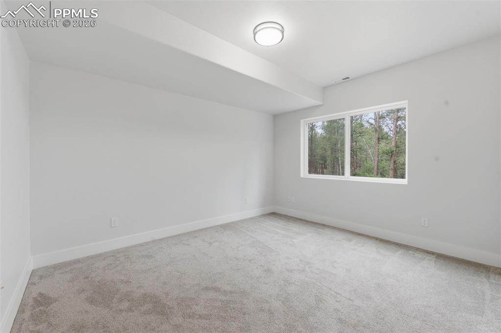 294 Southpark Road Florissant, CO 80816 - Photo 22 of 30