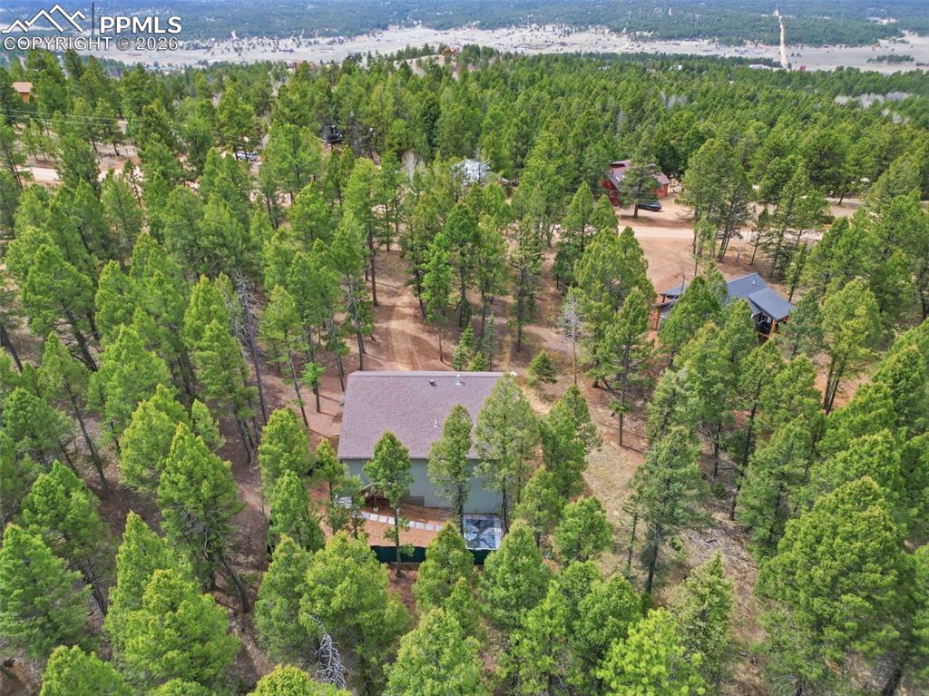 294 Southpark Road Florissant, CO 80816 - Photo 25 of 30