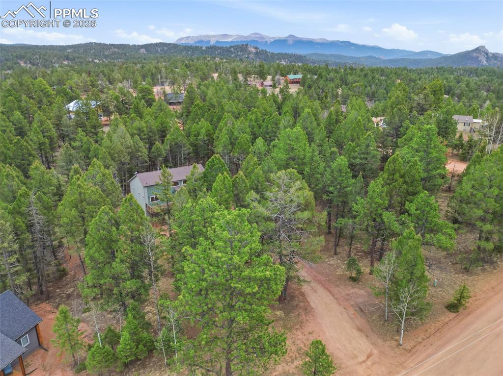 294 Southpark Road Florissant, CO 80816 - Photo 28 of 30