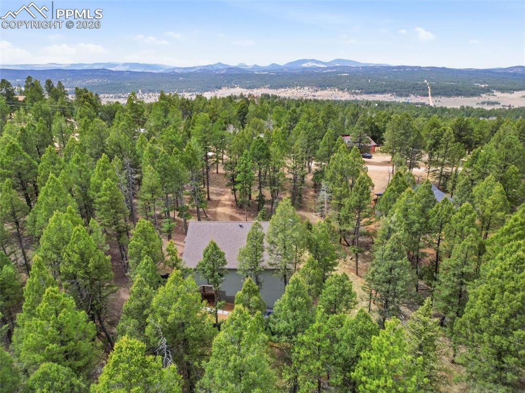 294 Southpark Road Florissant, CO 80816 - Photo 29 of 30
