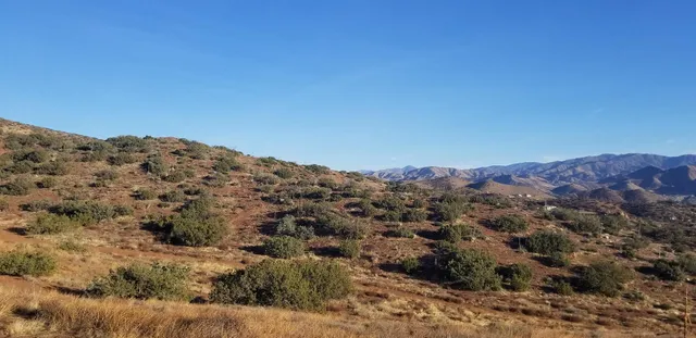 a view of a mountain range with trees in the background