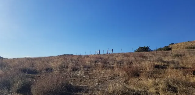 a view of a dry field