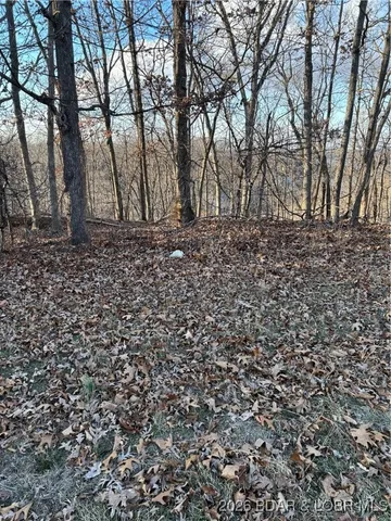 $6,500 | Four Seasons Mo 65049 Road, Four Seasons, MO 65049