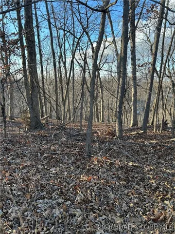 $6,500 | Four Seasons Mo 65049 Road, Four Seasons, MO 65049