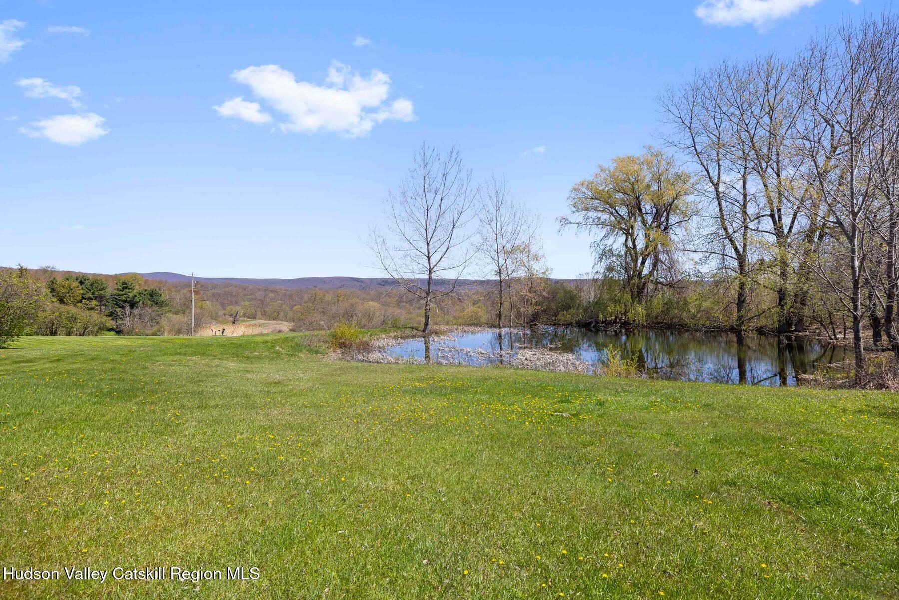 150 Sawchuck Road Millerton, NY 12546 - Photo 29 of 34 photo_online_006