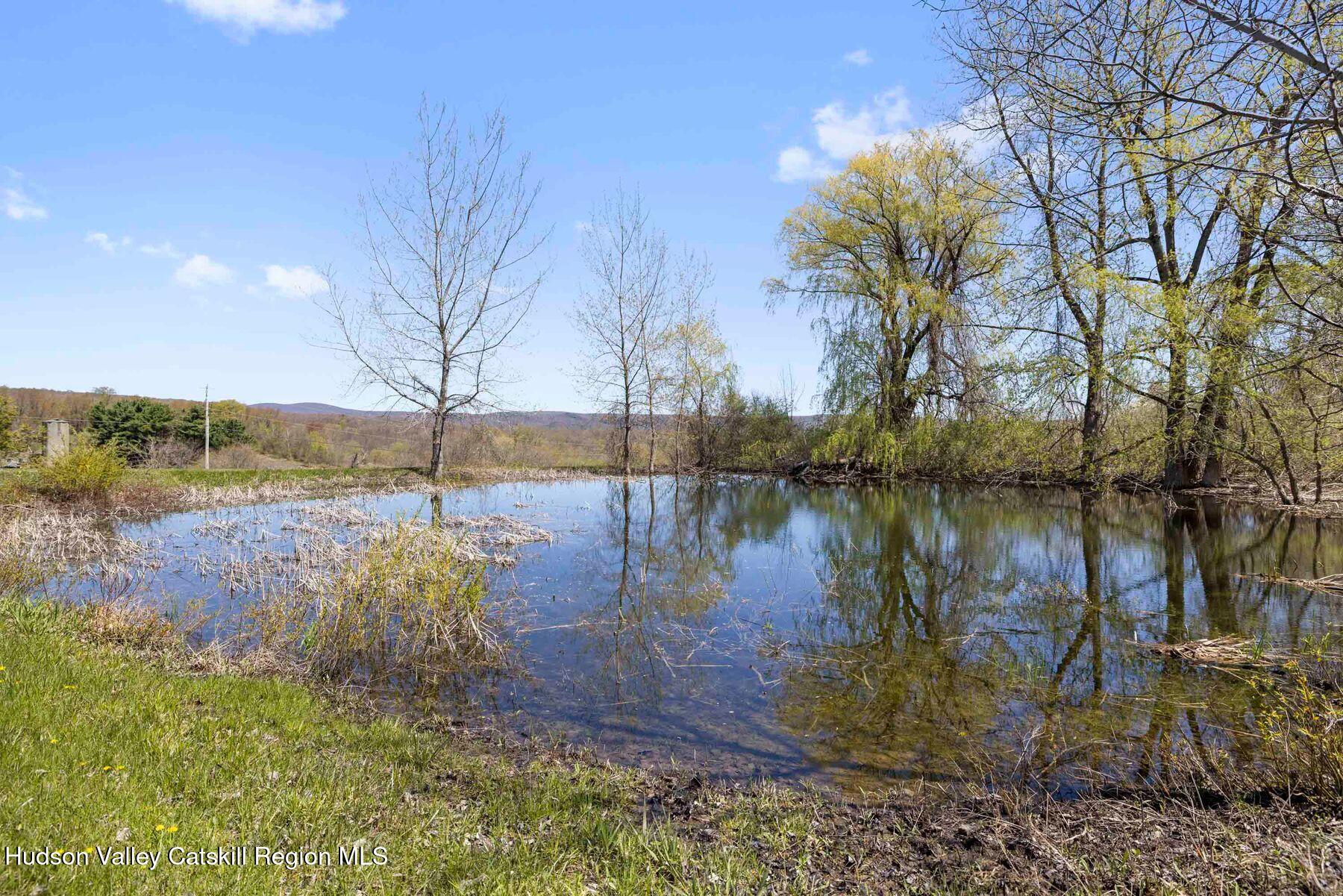 150 Sawchuck Road Millerton, NY 12546 - Photo 34 of 34 photo_online_010