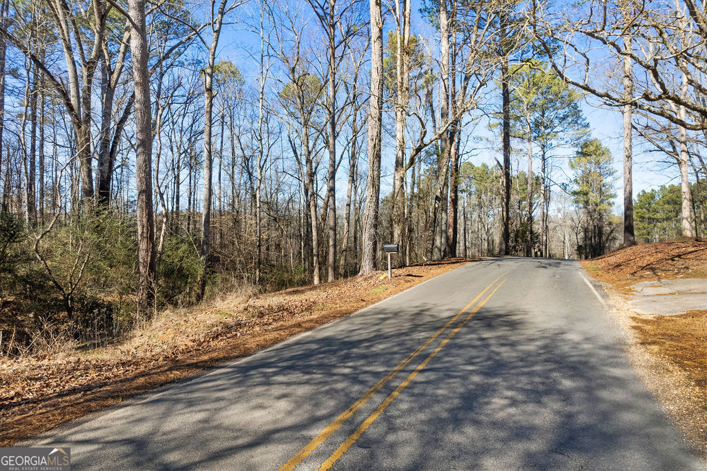493 Morrison Camp Ground Road Northeast Rome, GA 30161 - Photo 2 of 6 a view of road and trees