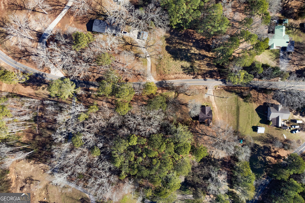 493 Morrison Camp Ground Road Northeast Rome, GA 30161 - Photo 4 of 6 a backyard of a house with lots of plants and trees