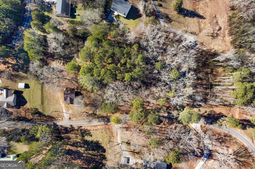 493 Morrison Camp Ground Road Northeast Rome, GA 30161 - Photo 5 of 6 a view of a yard with plants