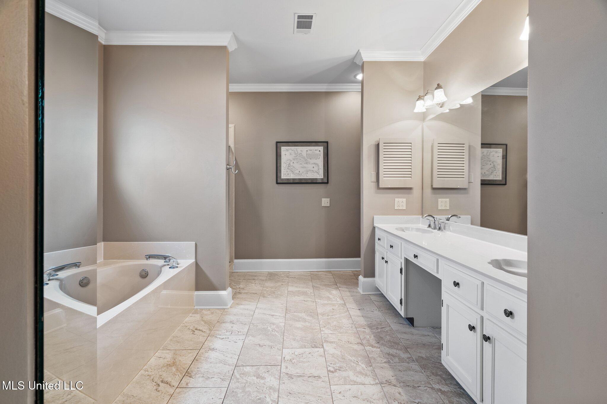 723 Fairway Trail Hernando, MS 38632 - Photo 20 of 34 Primary Bathroom!