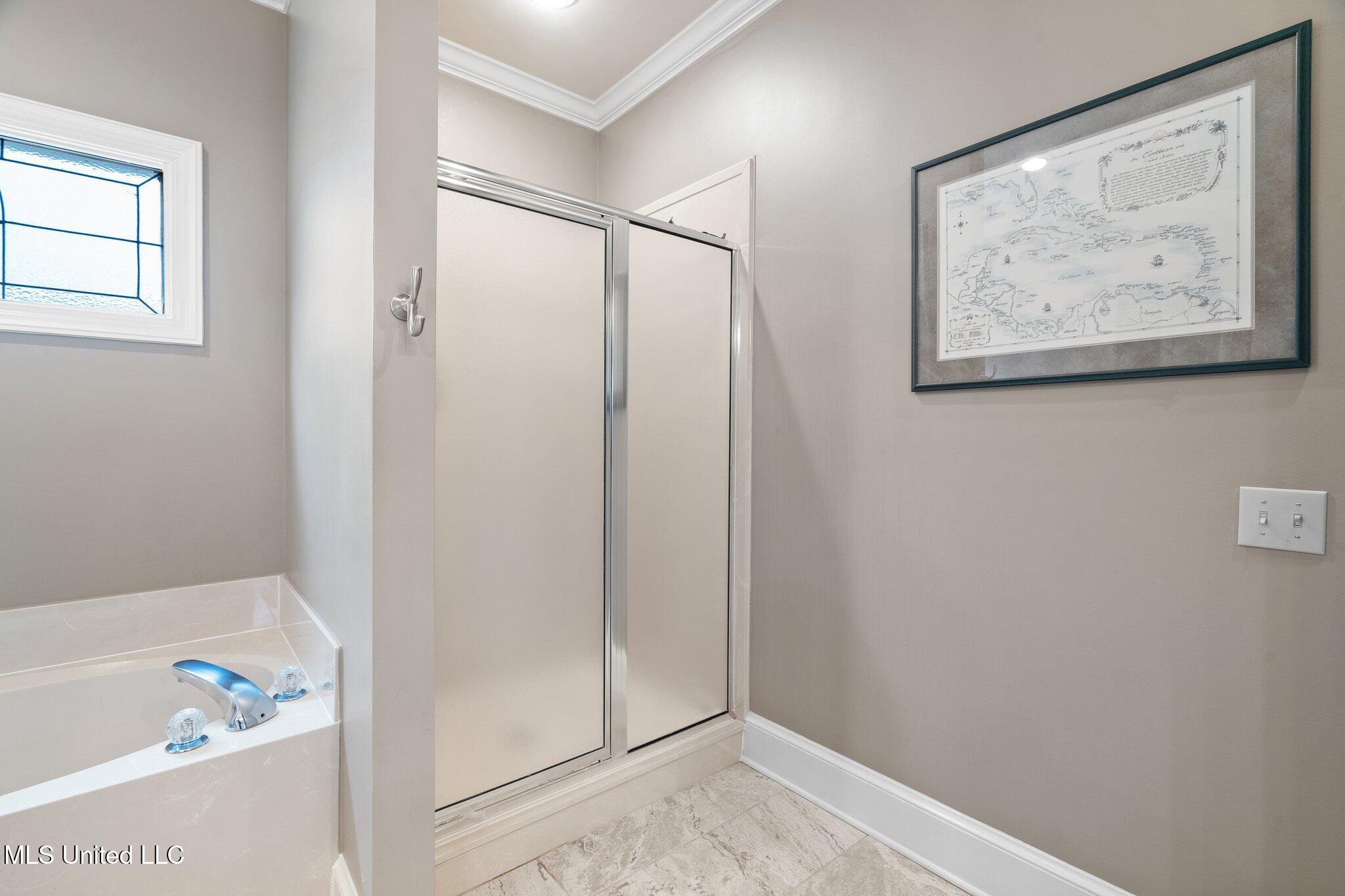 723 Fairway Trail Hernando, MS 38632 - Photo 22 of 34 Separate bathtub and shower!