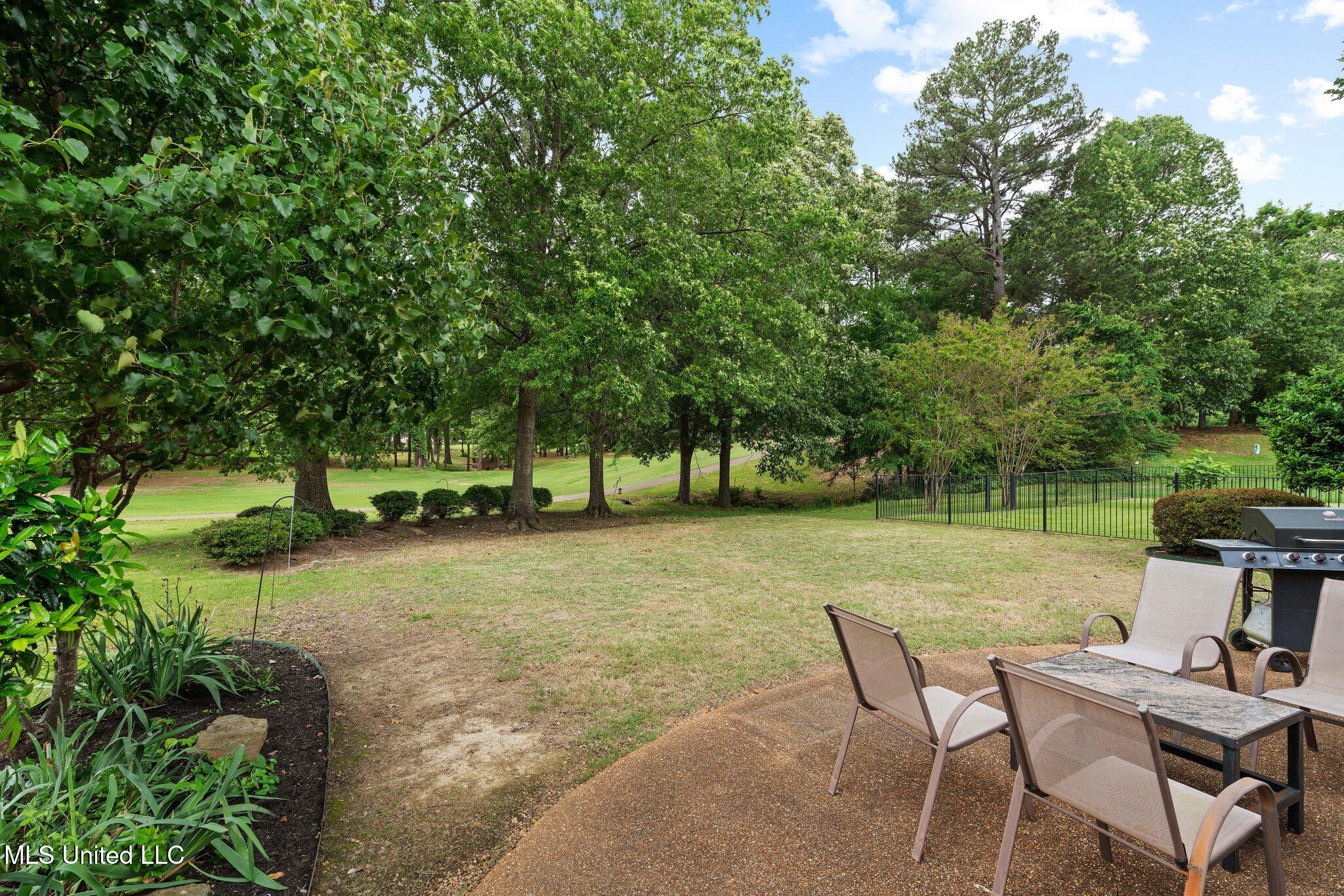723 Fairway Trail Hernando, MS 38632 - Photo 30 of 34 Backyard View