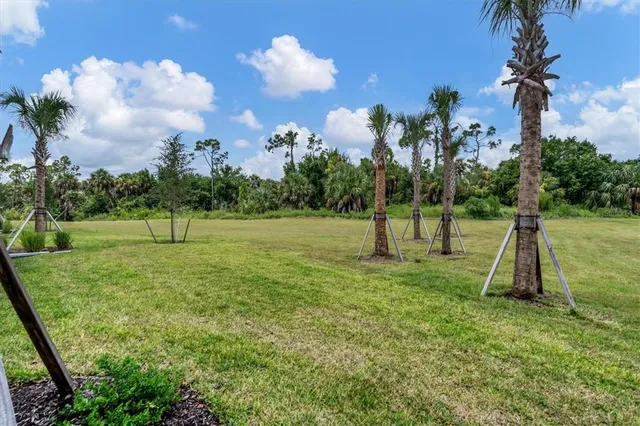 a view of a house with a yard and palm trees