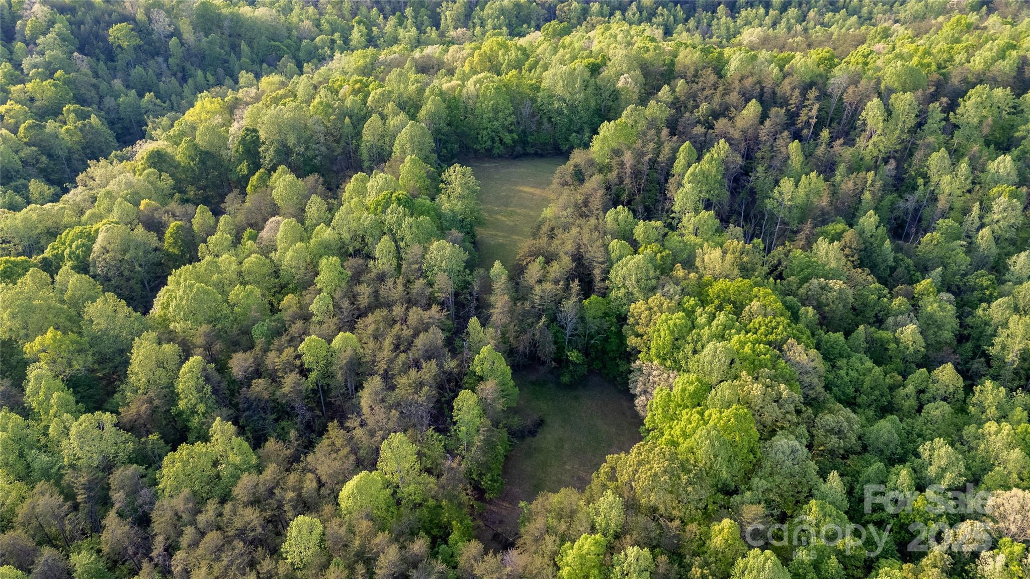 177 Fowler Road Mill Spring, NC 28756 - Photo 40 of 48 Gallery Image 40