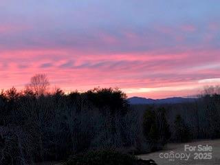 177 Fowler Road Mill Spring, NC 28756 - Photo 46 of 48 Gallery Image 46