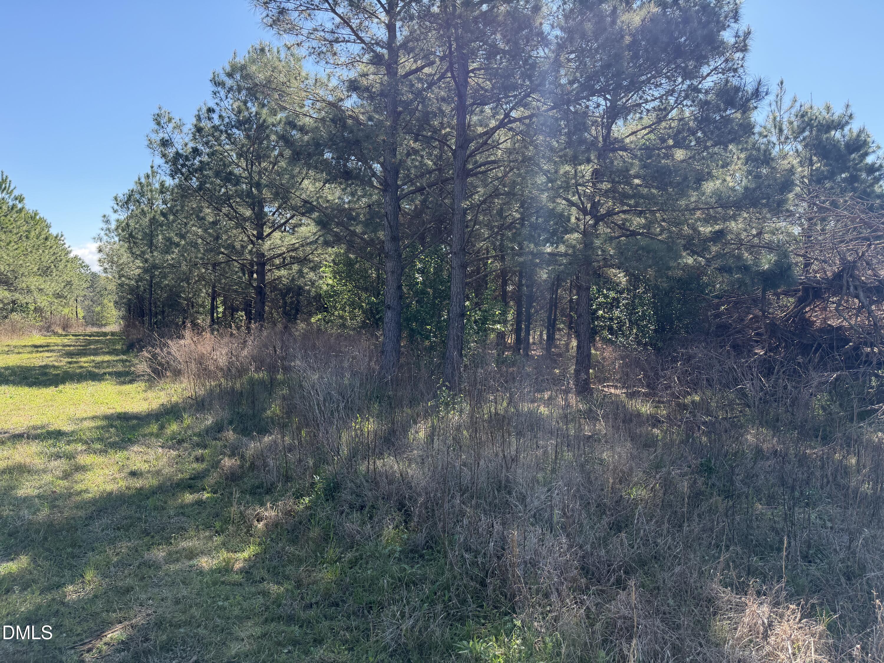 910 Festus Road Coats, NC 27521 - Photo 2 of 4 IMG_0075