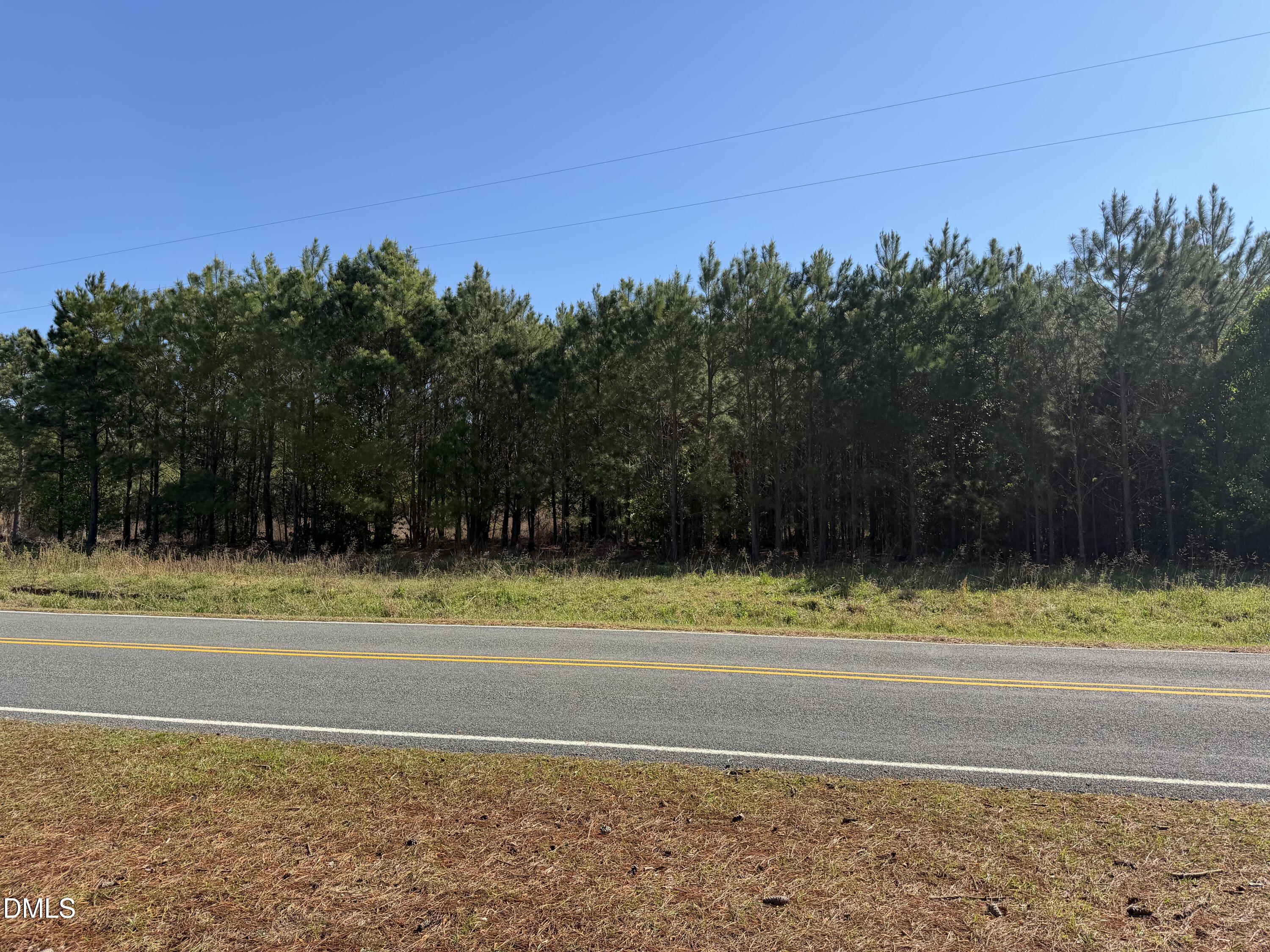 910 Festus Road Coats, NC 27521 - Photo 3 of 4 IMG_0072