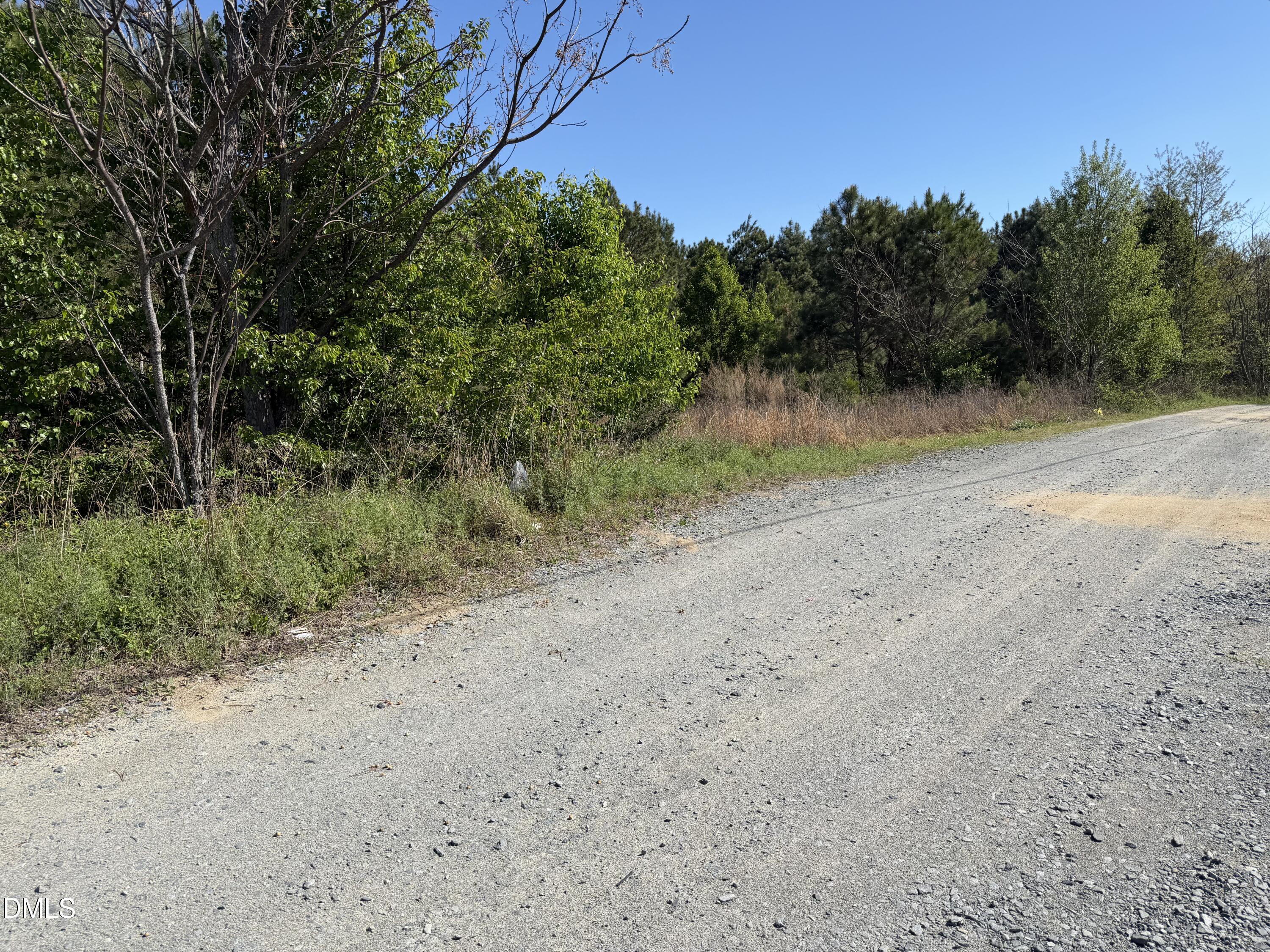 910 Festus Road Coats, NC 27521 - Photo 4 of 4 IMG_0074