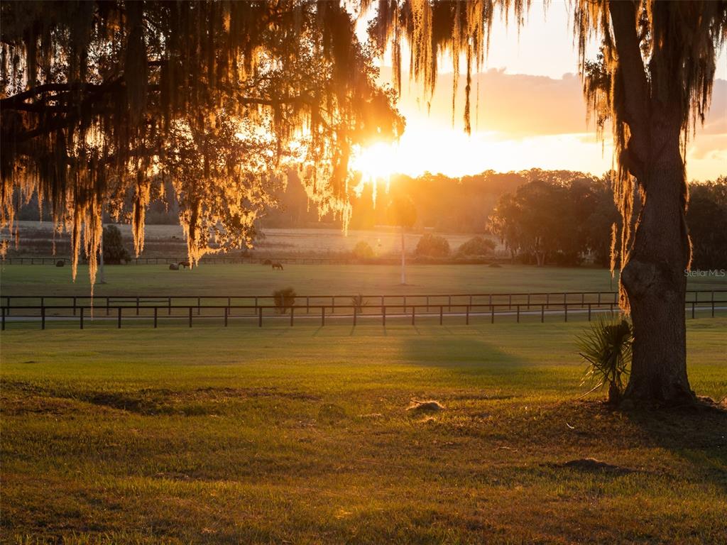 9001 Northwest 200th Street Road Micanopy, FL 32667 - Photo 24 of 24