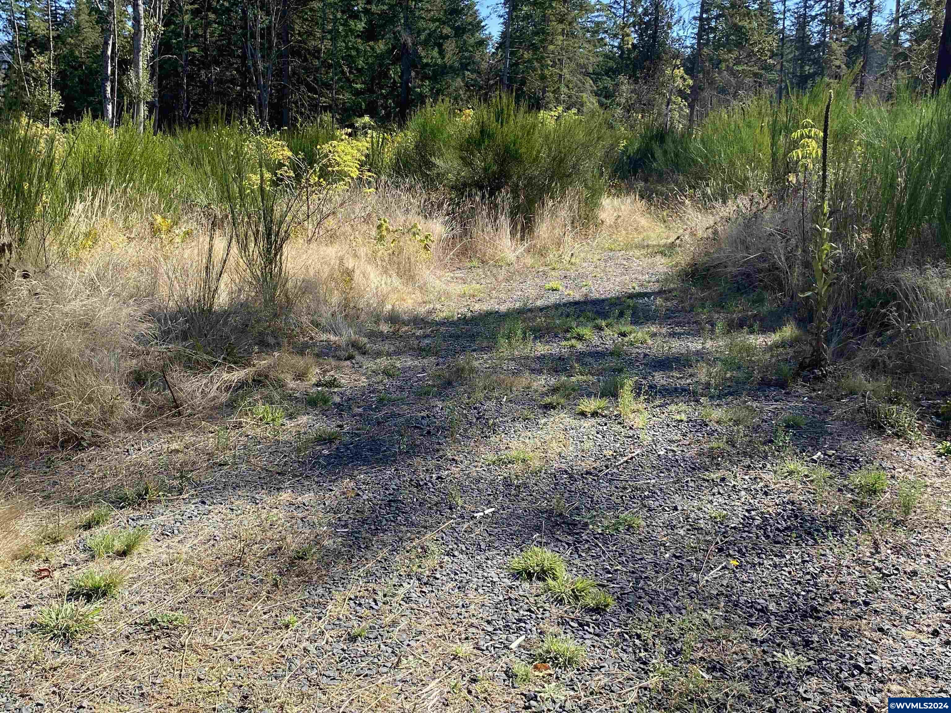 23545 North Fork Road Lyons, OR 97358 - Photo 11 of 16