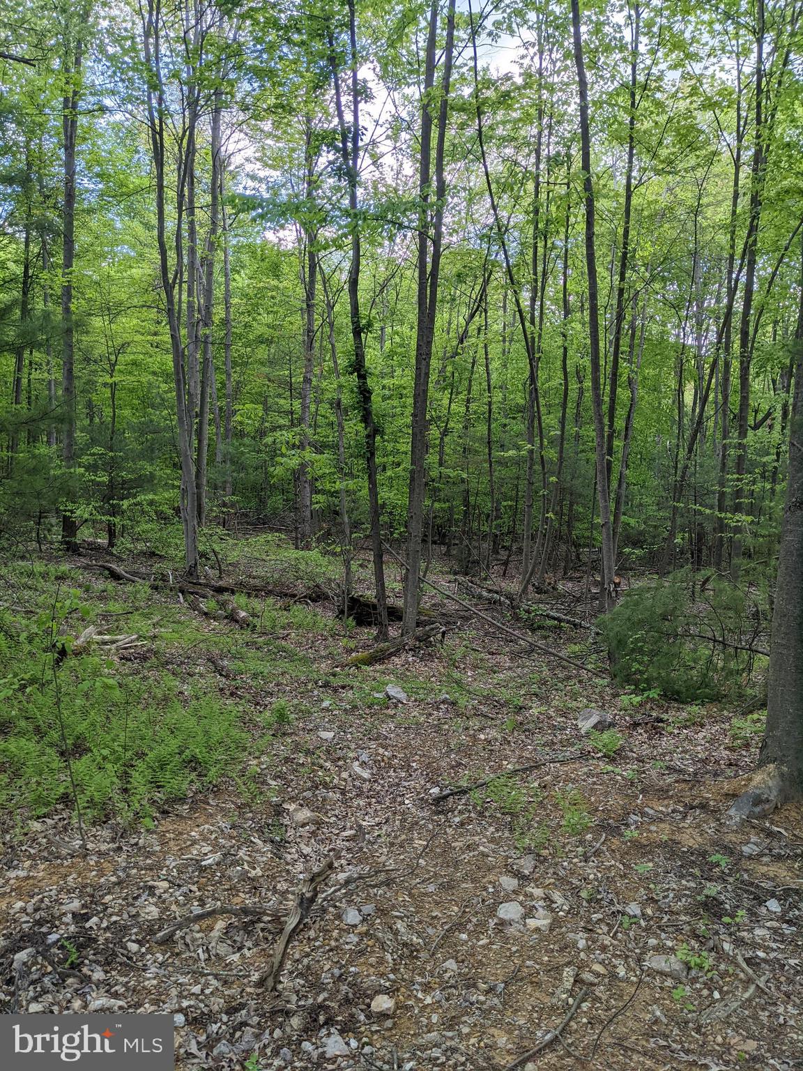 Lot 16 Hickory Ridge Road Newport, PA 17074 - Photo 1 of 3 Gallery Image 1