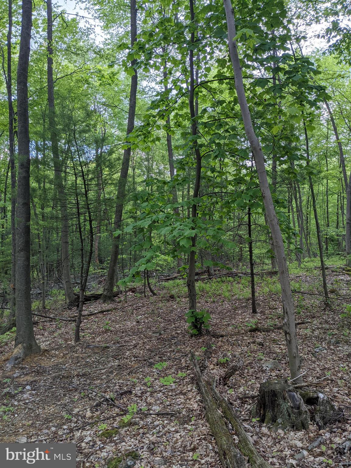 Lot 16 Hickory Ridge Road Newport, PA 17074 - Photo 2 of 3 Gallery Image 2