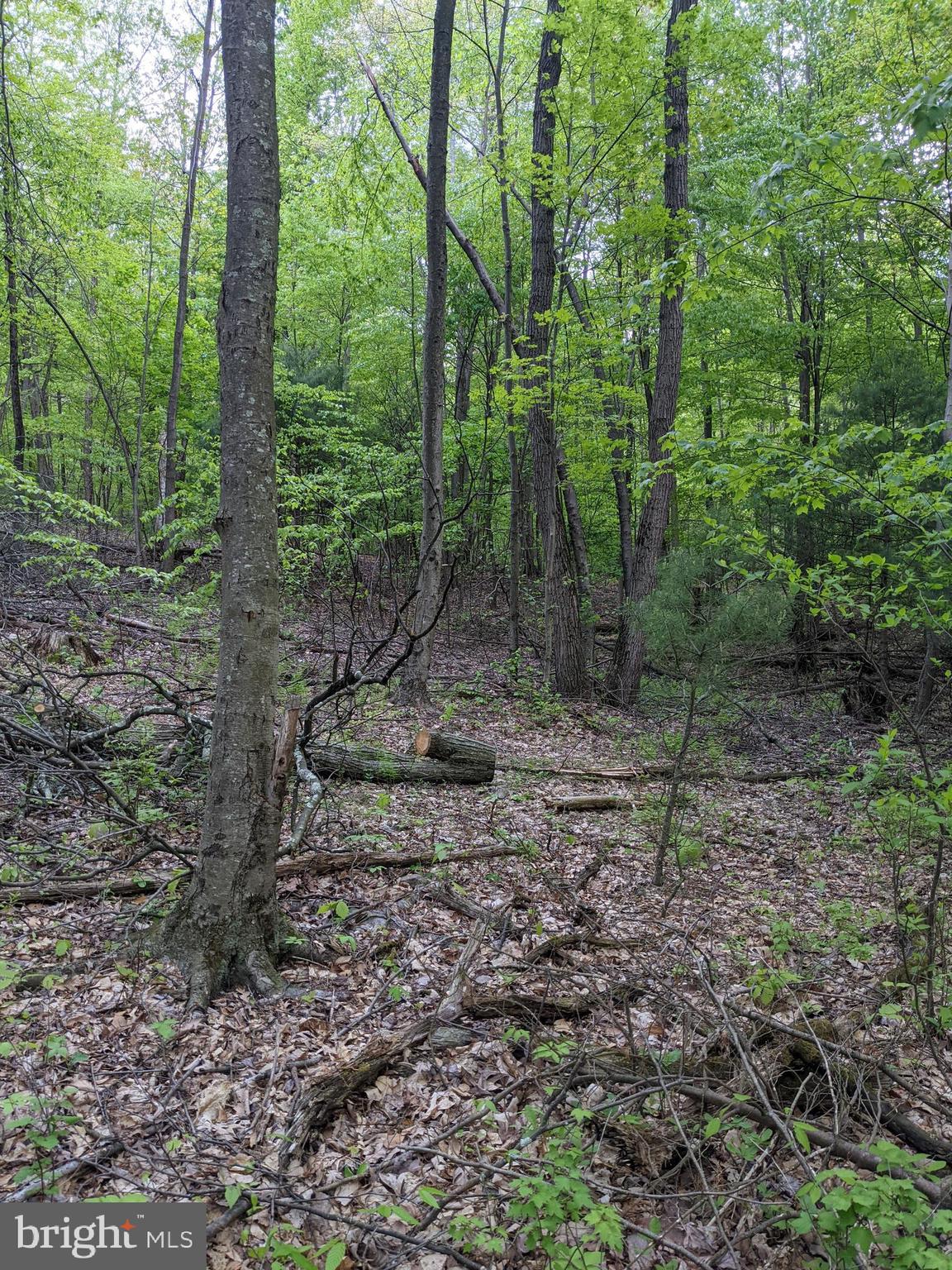Lot 16 Hickory Ridge Road Newport, PA 17074 - Photo 3 of 3 Gallery Image 3