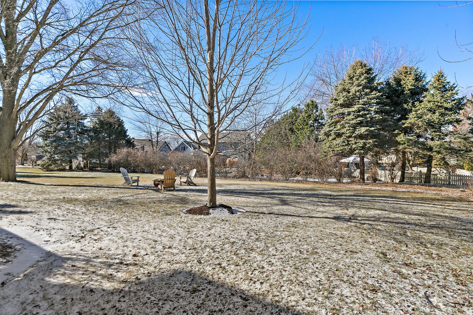 1205 South 1st Street DeKalb, IL 60115 - Photo 27 of 43 a backyard of a house with a large tree