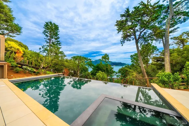a view of a yard with plants