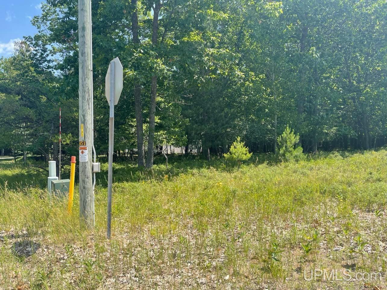 Tbd Tipperary Road, Unit 411 Gladstone, MI 49837 - Photo 2 of 4 Gallery Image 2