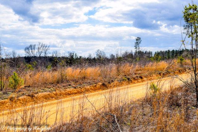 Lot 11 Shaws Fork Road Aiken, SC 29805 - Photo 1 of 1