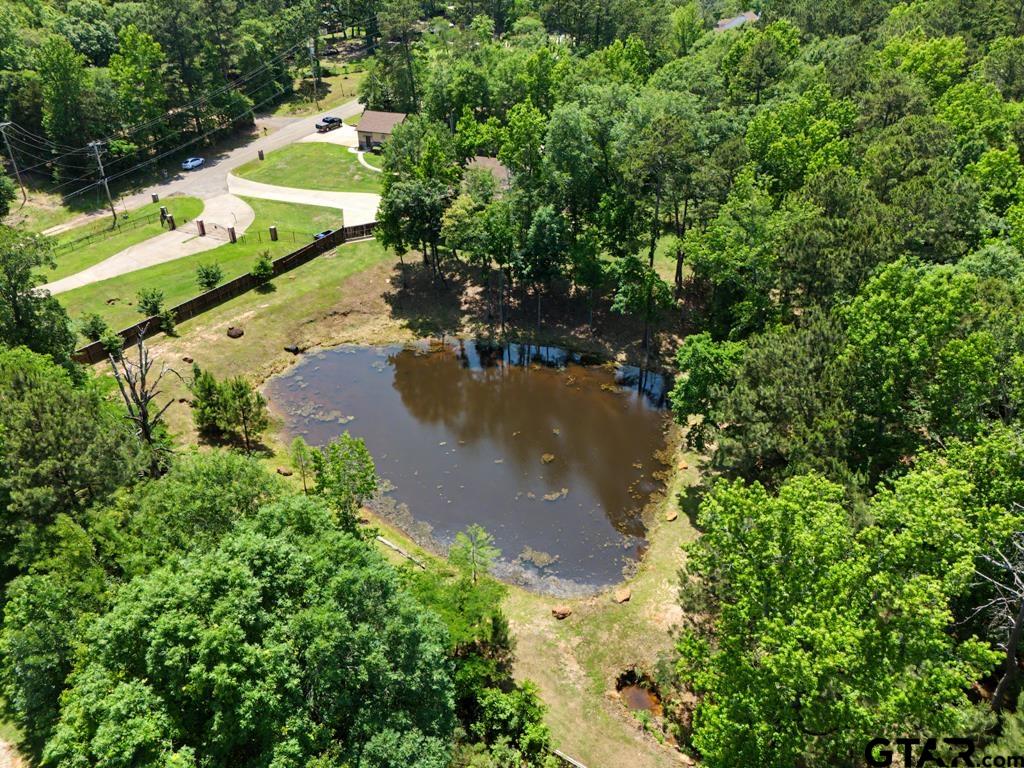 449 Greenhill Road Longview, TX 75605 - Photo 45 of 48 Gallery Image 45
