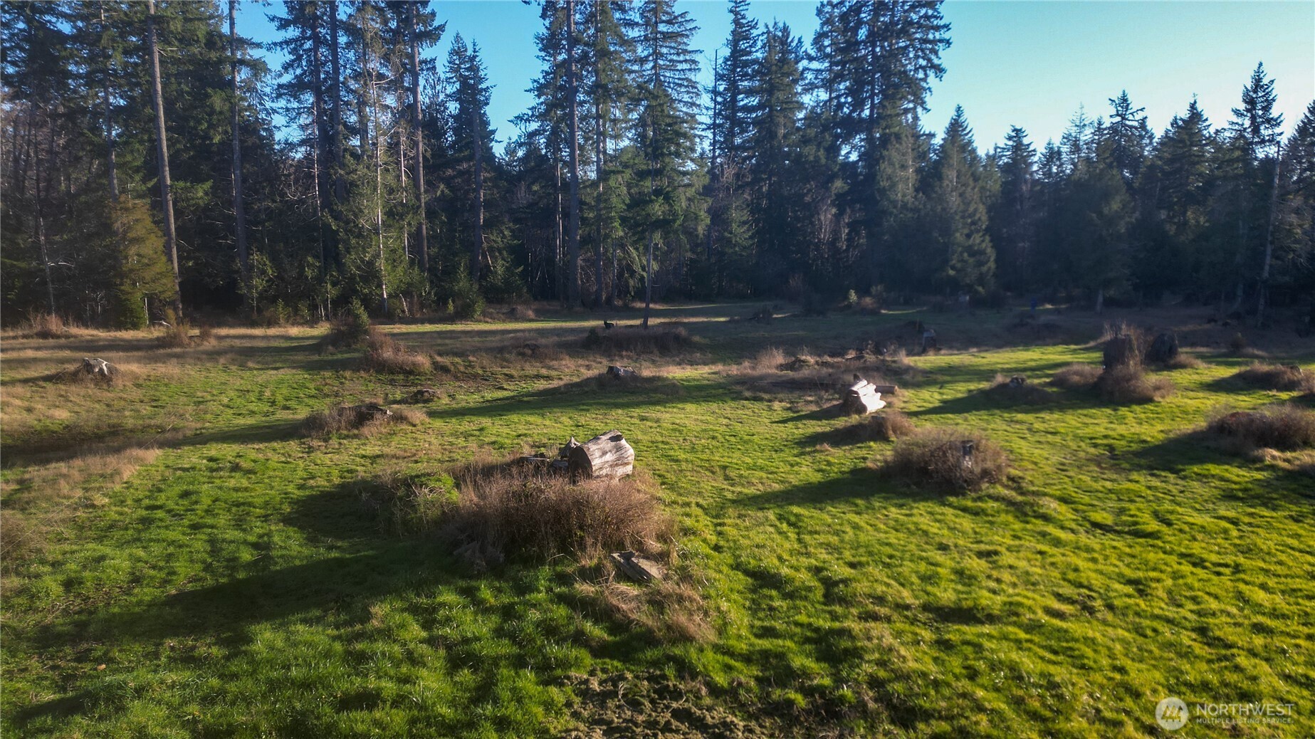443 Elma Hicklin Road West McCleary, WA 98557 - Photo 2 of 11 Gallery Image 2