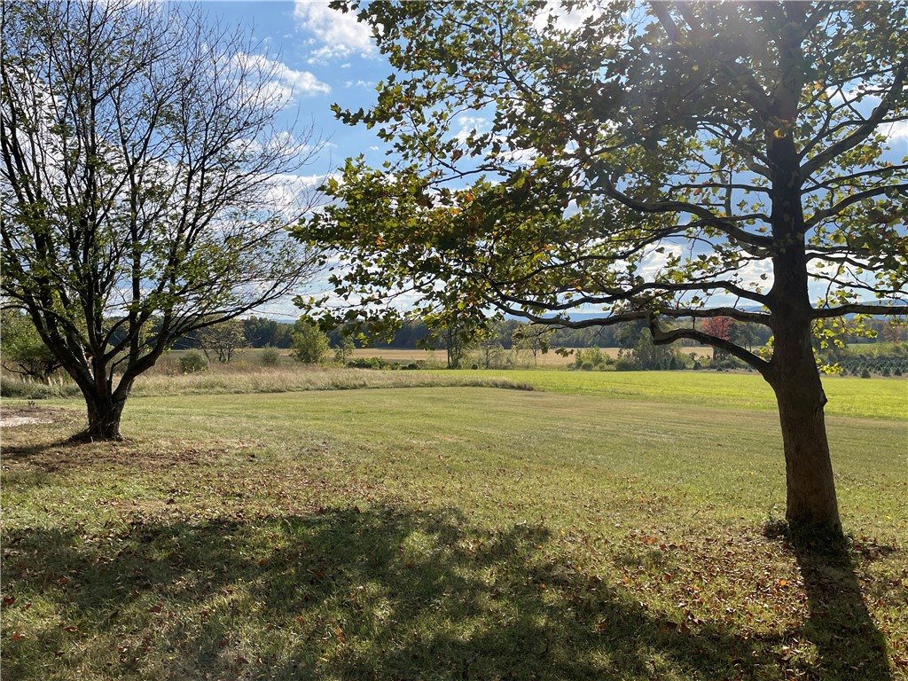 4303 Kipp Road Gorham, NY 14424 - Photo 18 of 22