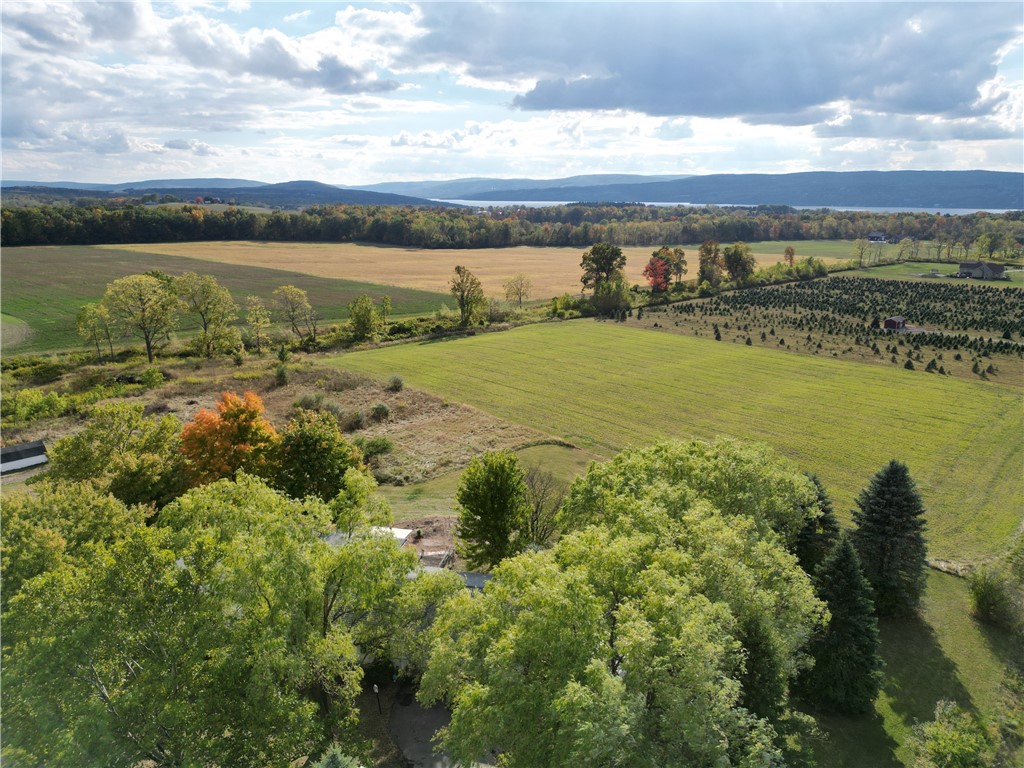 4303 Kipp Road Gorham, NY 14424 - Photo 10 of 22