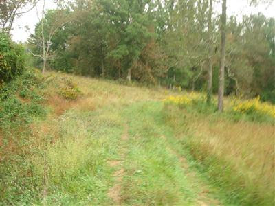 1999 Burton Williams Road Irvine, KY 40336 - Photo 30 of 47 Photo 31