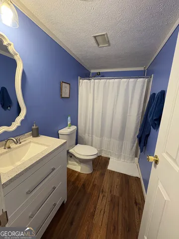 a bathroom with a sink a toilet and shower curtain