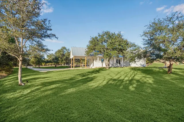 a view of a park with large trees