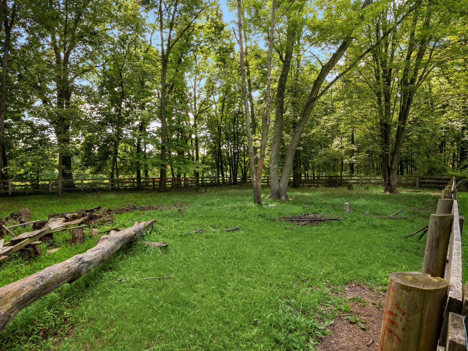 4150 Harlem Road Galena, OH 43021 - Photo 53 of 73 Want a pony, llama, goats, cow?? Perfect place.