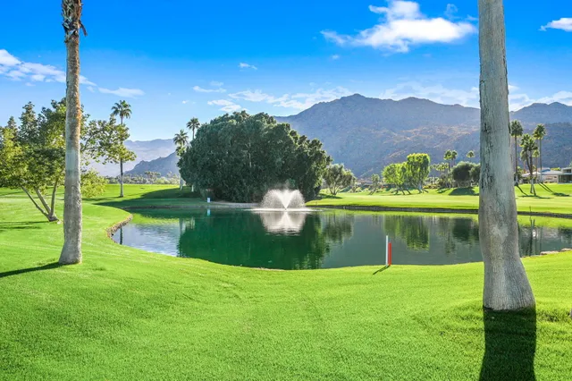 a view of a park with large trees