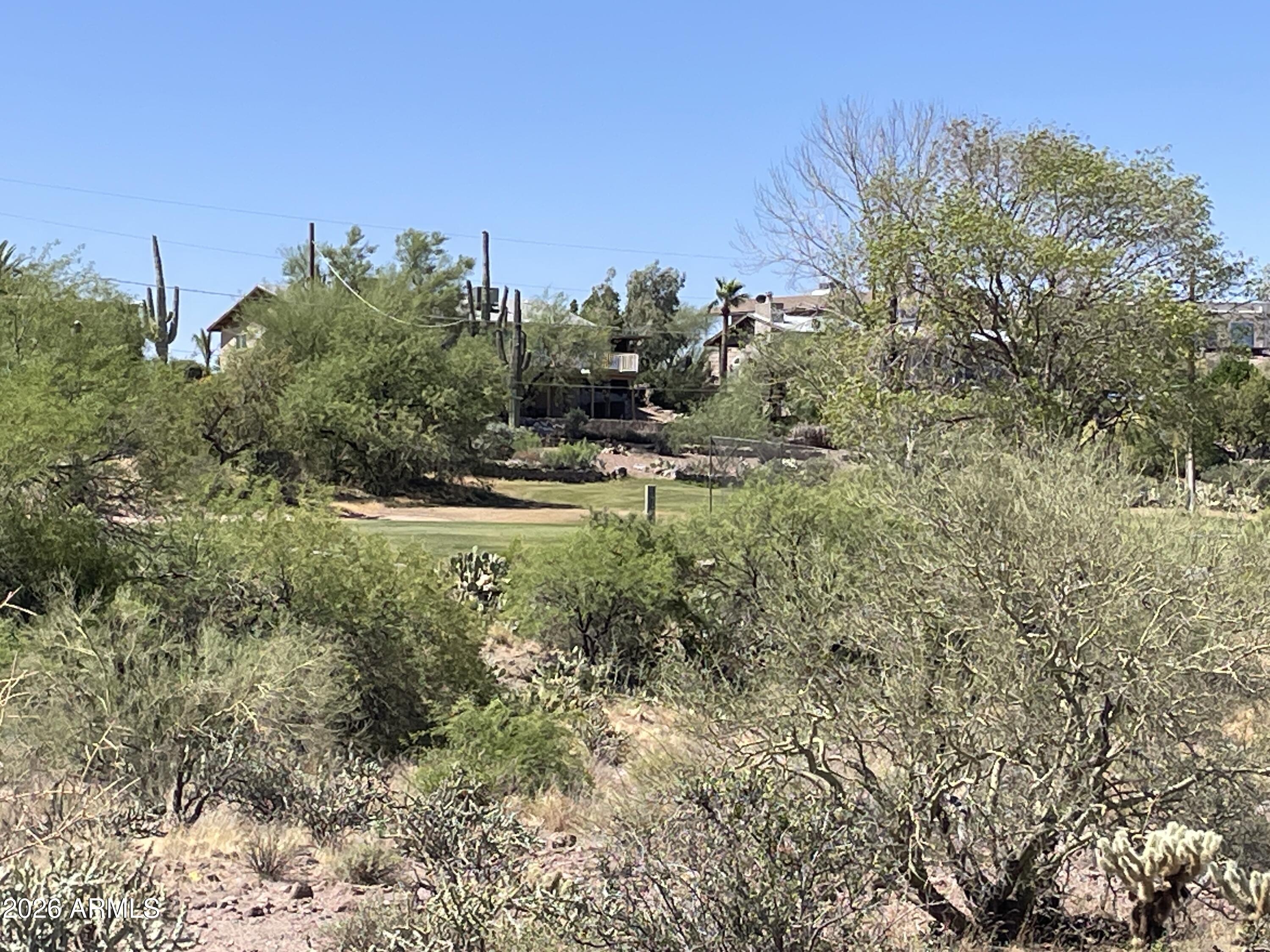 4 North Elephant Butte Road Gold Canyon, AZ 85118 - Photo 3 of 13 IMG_7480