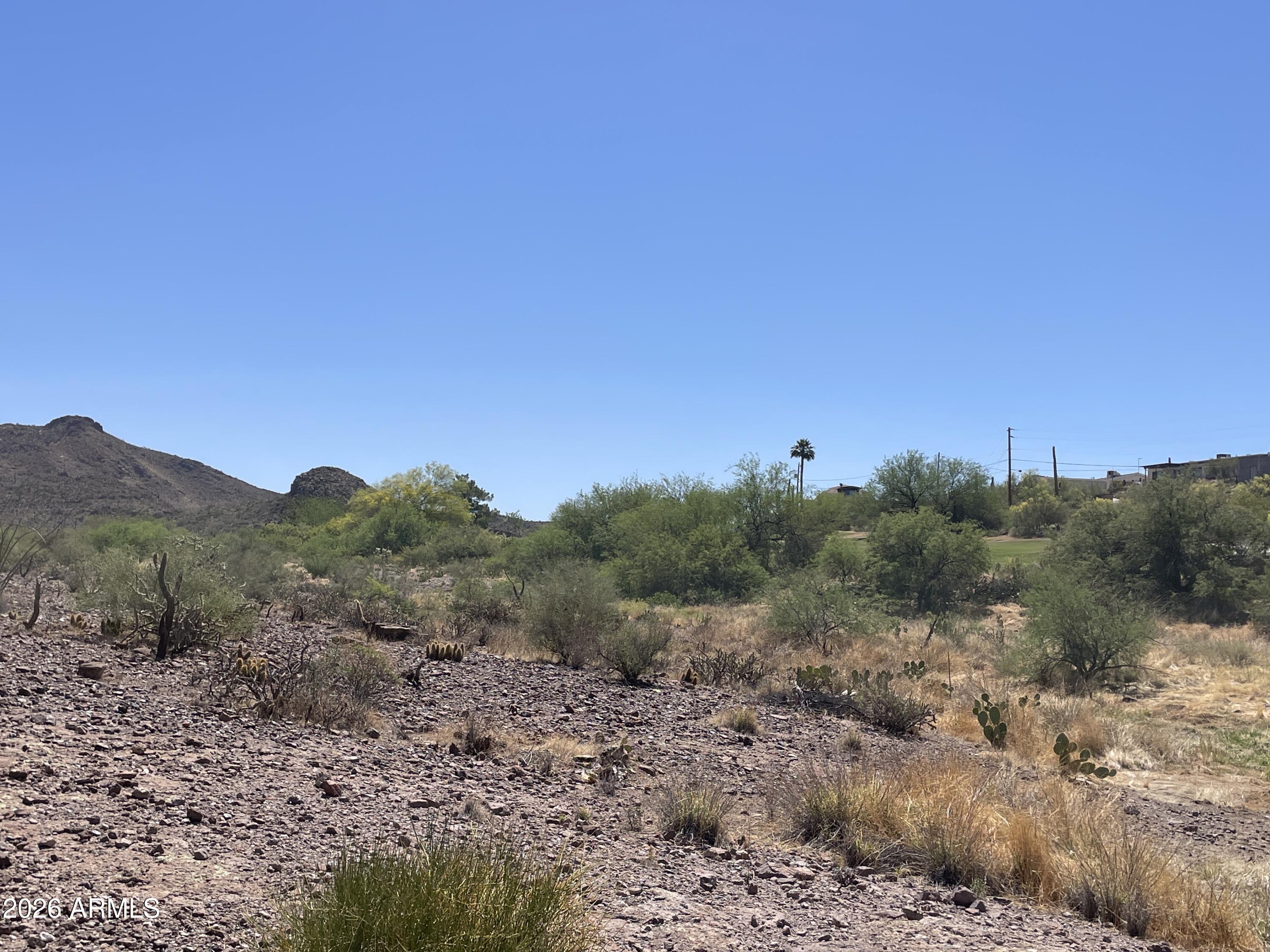 4 North Elephant Butte Road Gold Canyon, AZ 85118 - Photo 4 of 13 IMG_7487