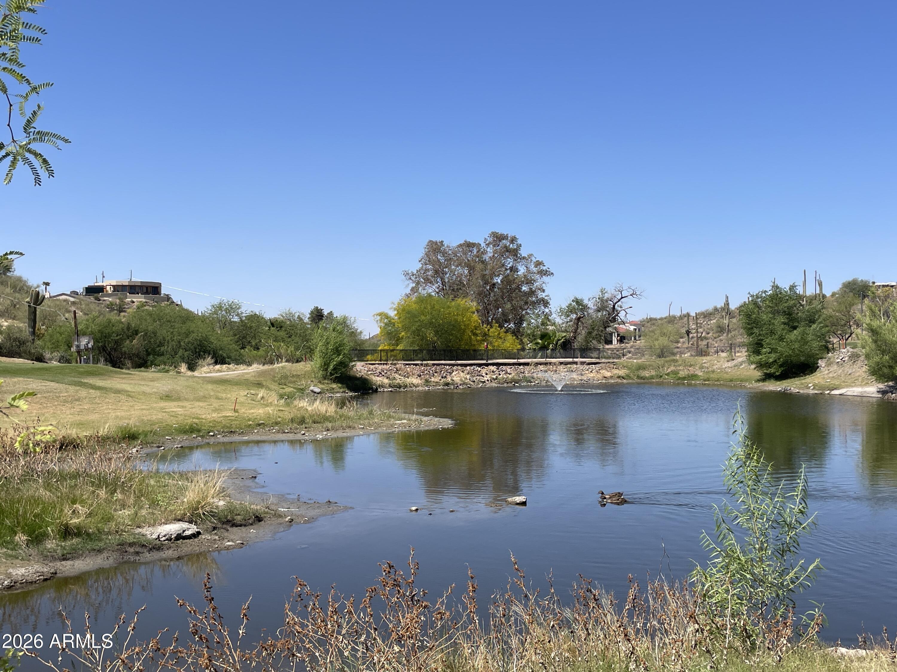 4 North Elephant Butte Road Gold Canyon, AZ 85118 - Photo 9 of 13 IMG_7485