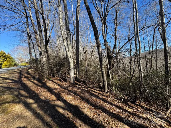 a view of a backyard of the house