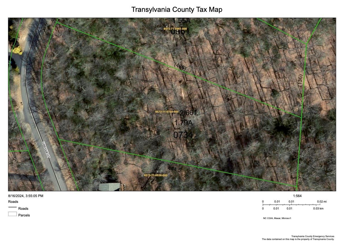 Lot 19 Udoque Court Brevard, NC 28712 - Photo 11 of 11 a view of a field