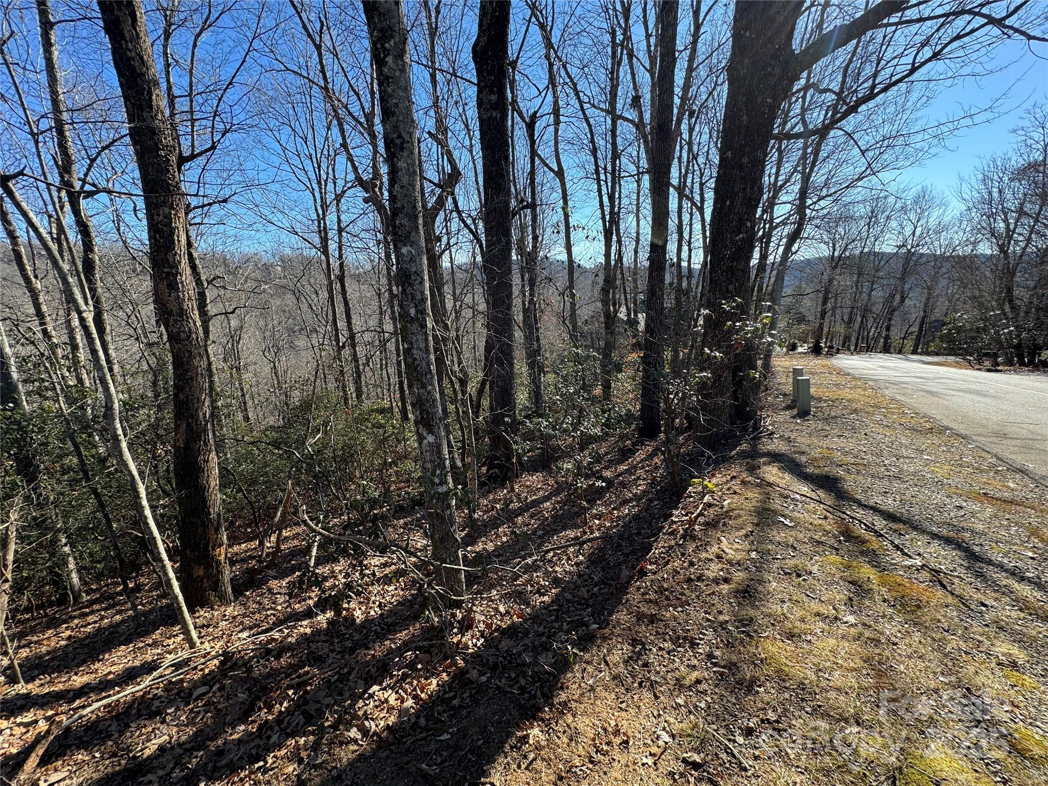 Lot 19 Udoque Court Brevard, NC 28712 - Photo 2 of 11 a view of a backyard with large trees
