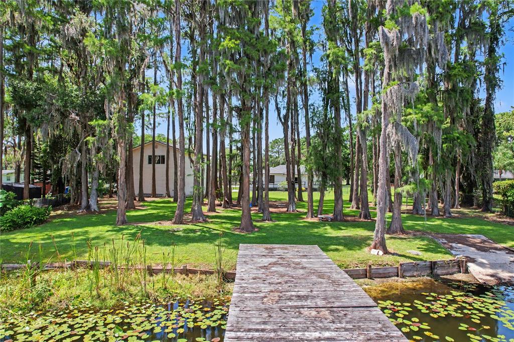 17305 Sherman Road Lutz, FL 33558 - Photo 66 of 89