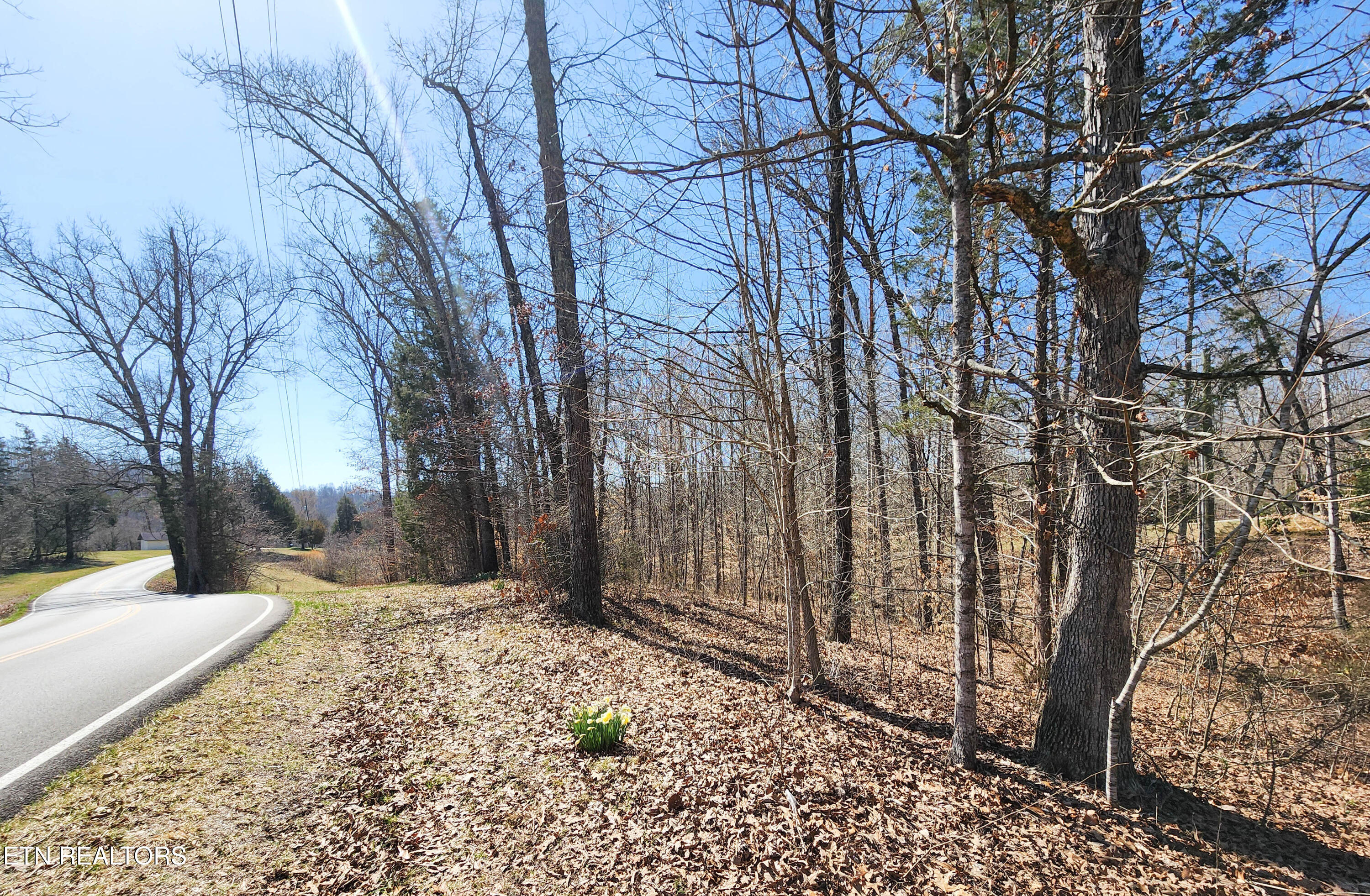 111 March Road Maynardville, TN 37807 - Photo 54 of 54 march satterfield