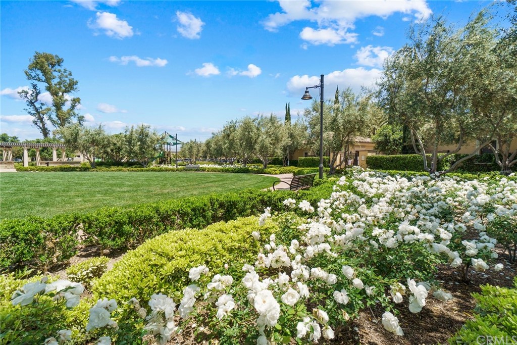 79 Bay Laurel Irvine, CA 92620 - Photo 40 of 46