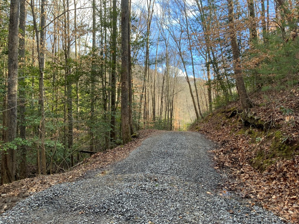 Lot 16 Ivy Log Road Warne, NC 28909 - Photo 13 of 16